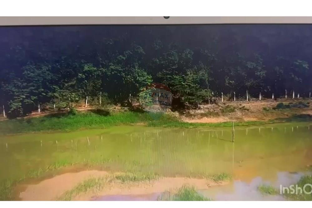 Terreno - Venda - Jequitibá , Minas Gerais - FOTO11.jpg - 870241112-57