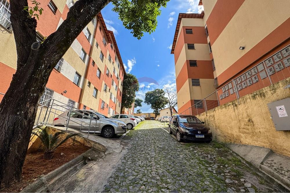 Apartamento - Venda - Belo Horizonte , Minas Gerais - IMG_4293_Original.jpeg - 870411099-75