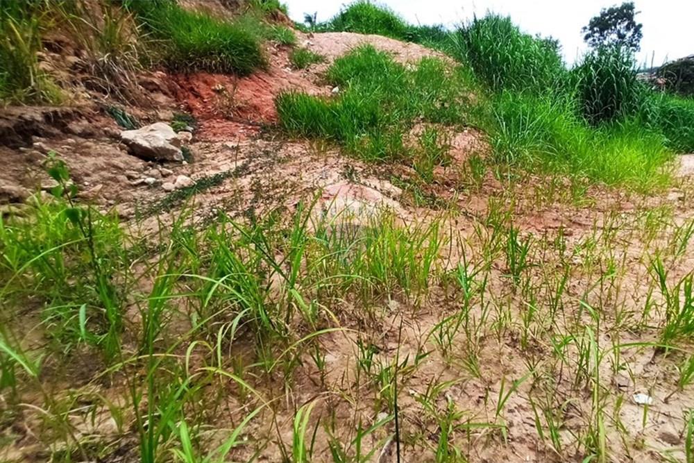 Chácara / Sítio / Fazenda - Venda - Ibirité , Minas Gerais - 1739041163001.jpg - 870421081-4