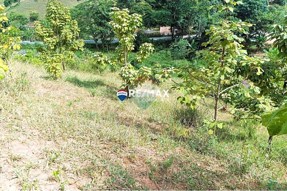 Chácara / Sítio / Fazenda - Venda - Conceição de Ipanema , Minas Gerais - 4_image_4_watermark_sáb._12042025_141922.jpg - 870451013-61