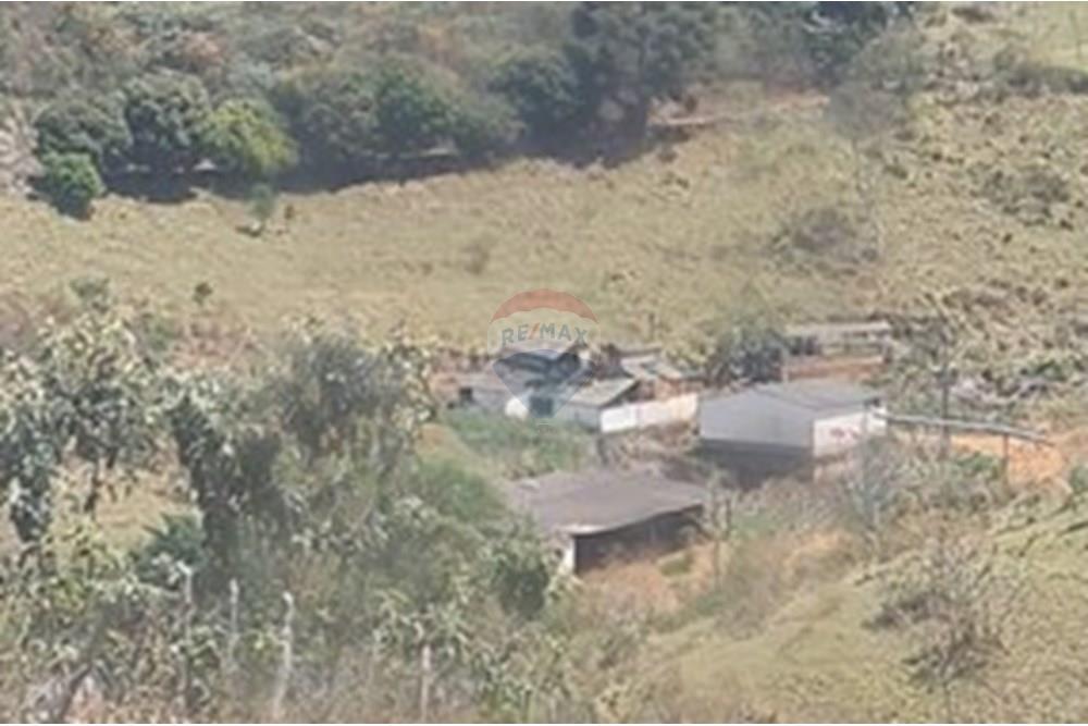 Chácara / Sítio / Fazenda - Venda - Casa Grande , Minas Gerais - foto 27.jpeg - 870411117-20