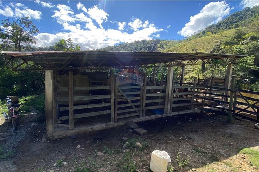 Chácara / Sítio / Fazenda - Venda - Ipatinga , Minas Gerais - WhatsApp Image 2025-10-09 at 17.37.01 (2).jpeg - 870711007-44