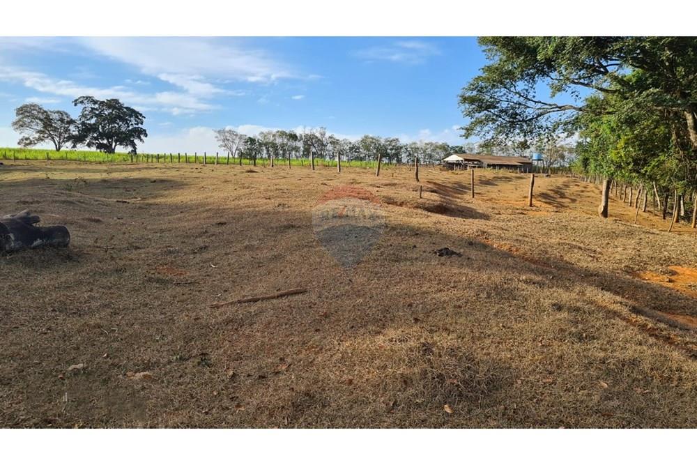 Fazenda - Venda - Uberaba , Minas Gerais - 13 Fazenda Venda R$ 6.500.000 em Uberaba na Remax 870291025-116.jpeg - 870291025-116