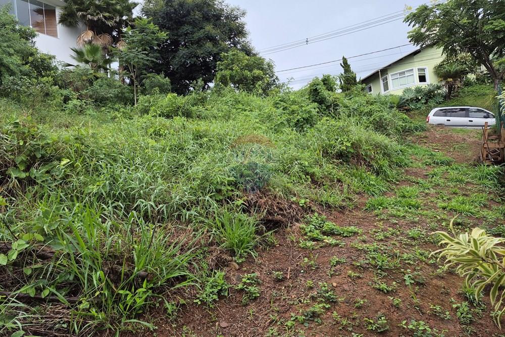 Terreno - Venda - Nova Lima , Minas Gerais - 20260318_105039.jpg - 870421084-35