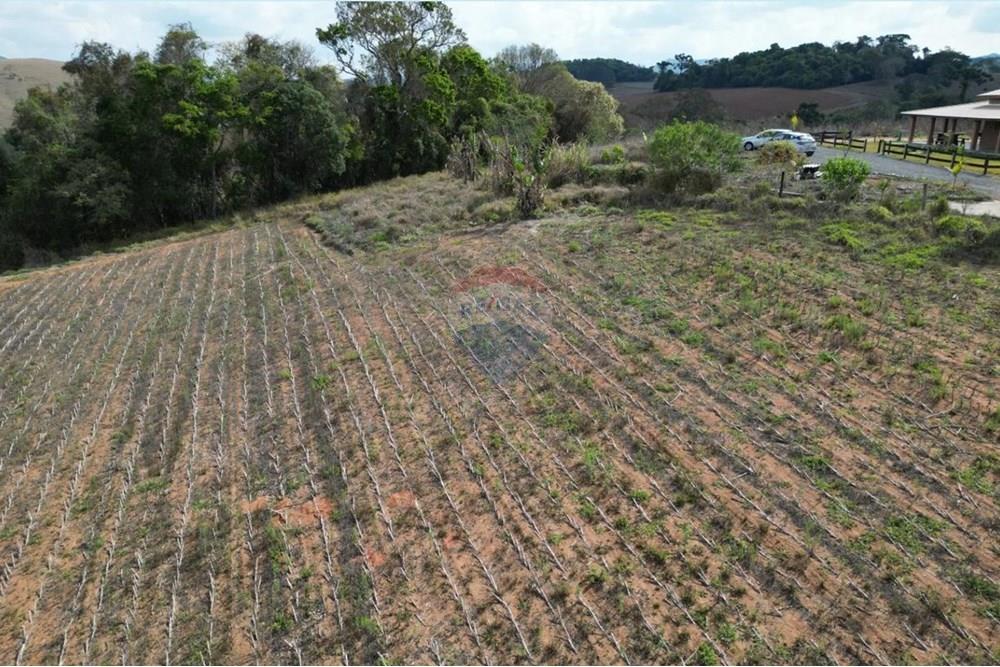 Chácara / Sítio / Fazenda - Venda - Caldas , Minas Gerais - IMG-20251031-WA0013.jpg - 870361060-14