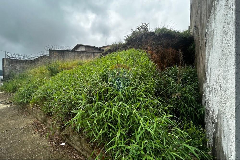 Terreno - Venda - Poços de Caldas , Minas Gerais - WhatsApp Image 2026-03-10 at 11.53.10 (2).jpeg - 870361071-15