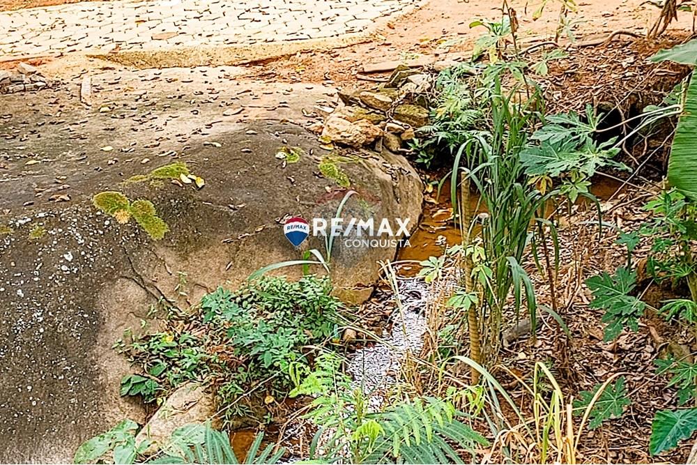 Chácara / Sítio / Fazenda - Venda - Ipanema , Minas Gerais - 9_image_9_watermark_seg._12052025_100314.jpg - 870451004-100