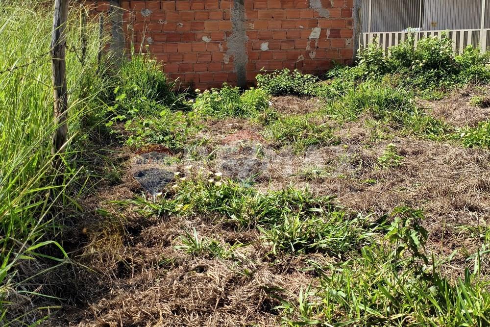 Terreno - Venda - Ipanema , Minas Gerais - 7_image_7_watermark_ter._17022026_130125.jpg - 870451004-118