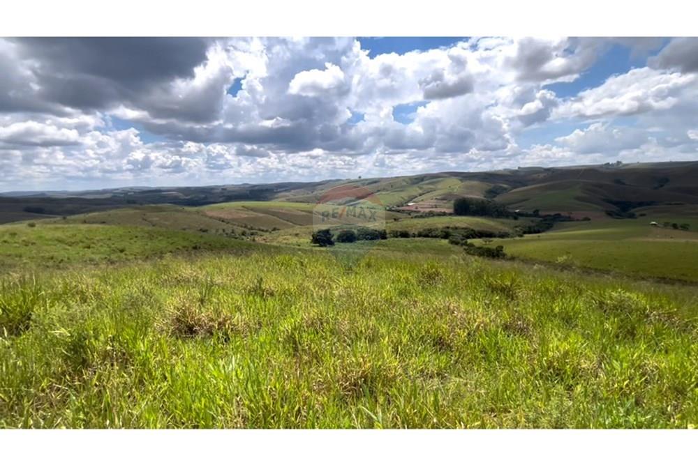 Fazenda - Venda - São Roque de Minas , Minas Gerais - Gleba 2 B.jpg - 870431039-44