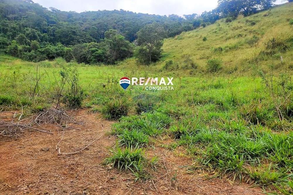 Chácara / Sítio / Fazenda - Venda - Ipanema , Minas Gerais - 6_IMG_20240515_083900_watermark_dom._23062024_100919.jpg - 870451001-121