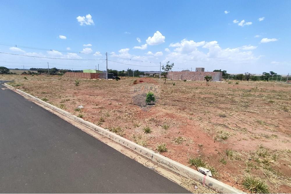 Terreno - Venda - Uberlândia , Minas Gerais - IMG_20251007_121606.jpg - 870381037-1