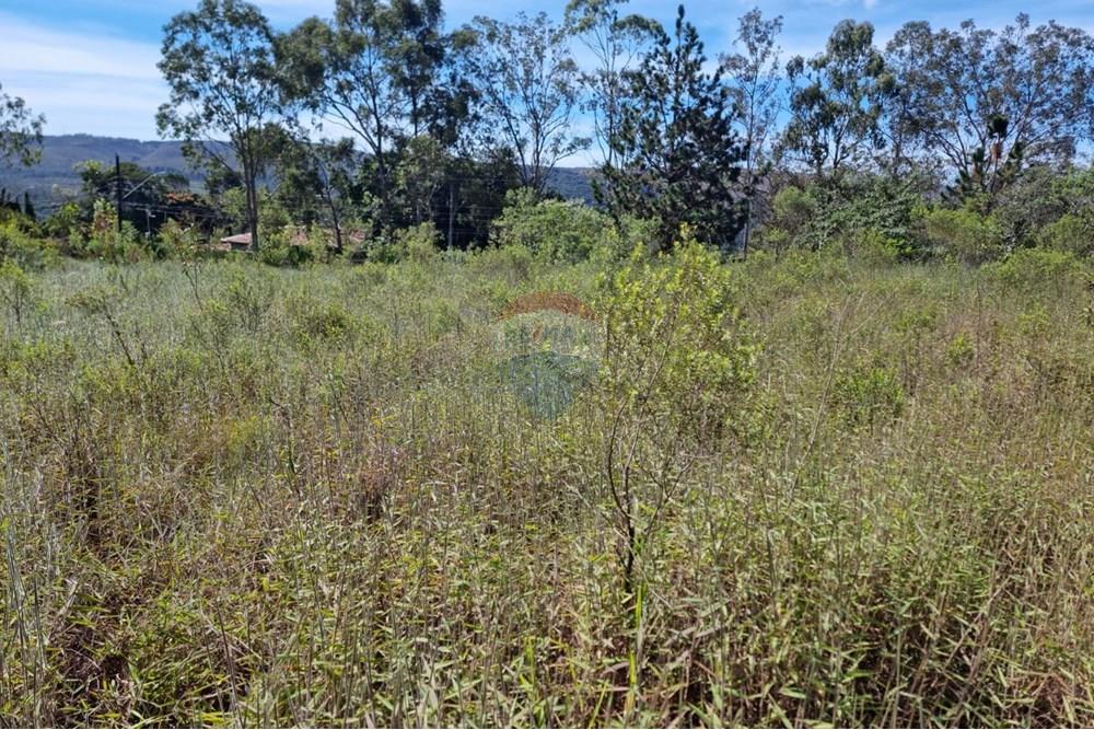 Terreno - Venda - Nova Lima , Minas Gerais - 18.jpeg - 870421084-16