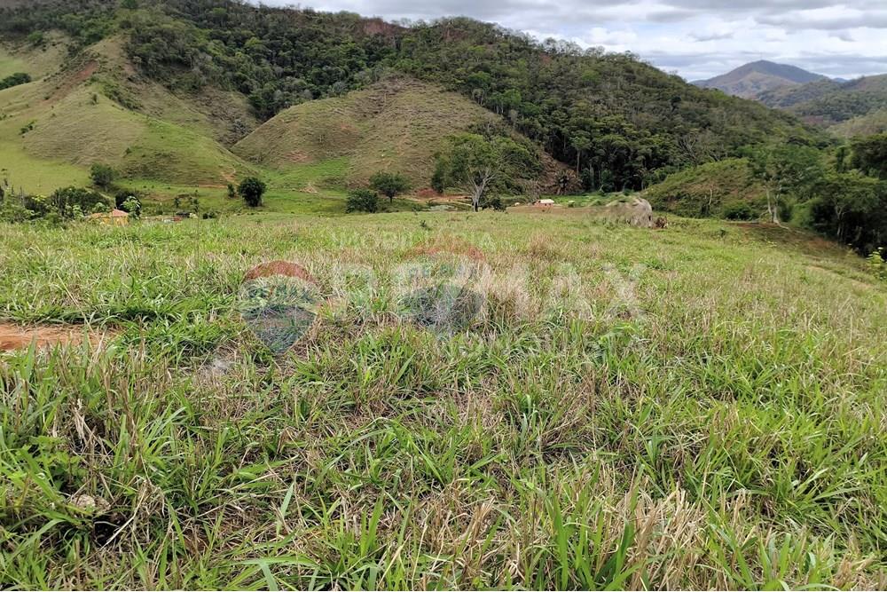 Chácara / Sítio / Fazenda - Venda - Ipanema , Minas Gerais - 0_image_0_watermark_qui._20112025_124244.jpg - 870451013-80