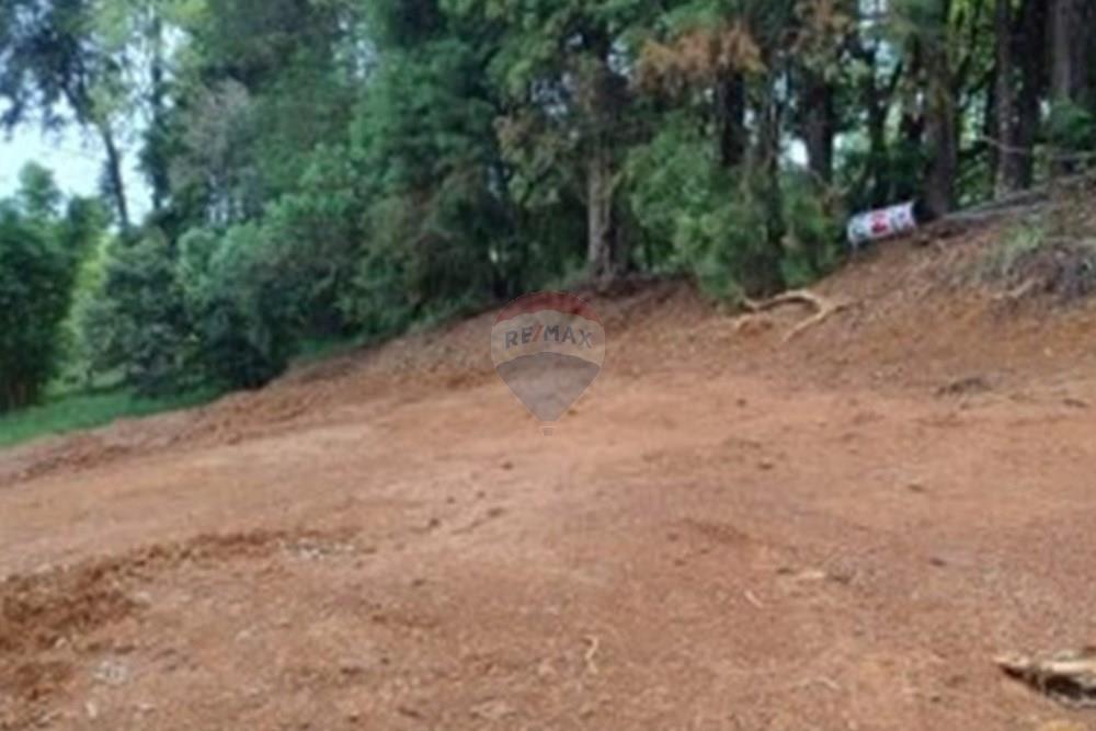 Terreno - Venda - Poços de Caldas , Minas Gerais - Captura de tela 2026-03-12 100947.jpg - 870361071-16