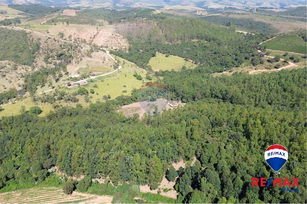 Chácara / Sítio / Fazenda - Venda - São Roque de Minas , Minas Gerais - cb3d9078-a178-43b1-915f-97eb3f3bcb01.jpg - 870731003-7