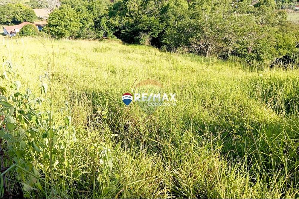 Chácara / Sítio / Fazenda - Venda - Pocrane , Minas Gerais - WhatsApp Image 2025-04-08 at 09.40.32.jpeg - 870451001-124