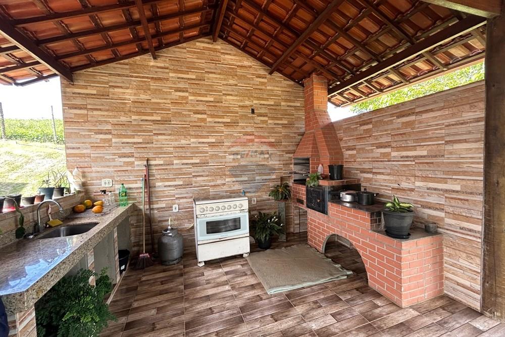 Chácara / Sítio / Fazenda - Venda - Alpercata , Minas Gerais - 38.jpeg - 870671001-168