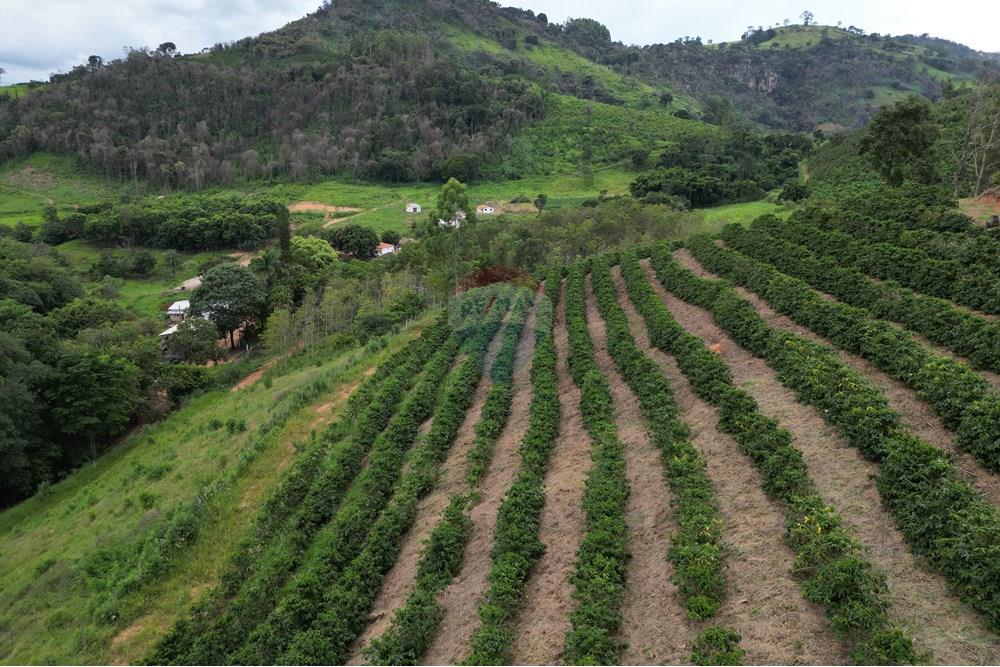 Fazenda - Venda - Caconde , São Paulo - DJI_0060.JPG - 870361041-102