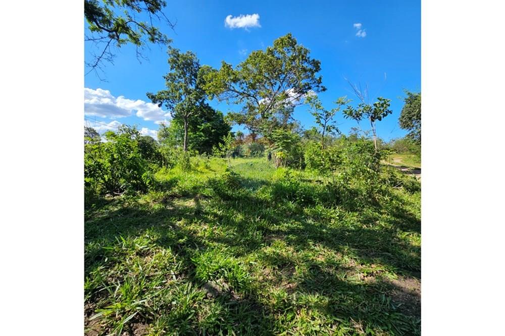 Terreno - Venda - Contagem , Minas Gerais - 20260112_152126.jpg - Quintal - 870241034-67