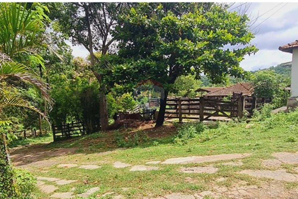 Fazenda - Venda - Pedro Leopoldo , Minas Gerais - 83d536f4-aaa9-4ebf-8bc5-4bea461070f1.jpeg - 870411117-34