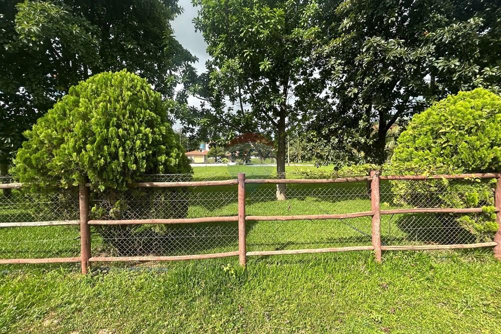 Chácara / Sítio / Fazenda - Venda - Alpercata , Minas Gerais - IMG_5555.jpg - 870671001-168