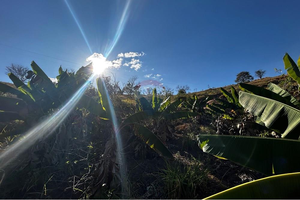 Chácara / Sítio / Fazenda - Venda - Governador Valadares , Minas Gerais - IMG_3009.jpg - 870671001-156