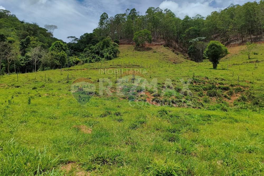 Chácara / Sítio / Fazenda - Venda - Taparuba , Minas Gerais - 1_image_1_watermark_ter._17022026_130808.jpg - 870451001-165