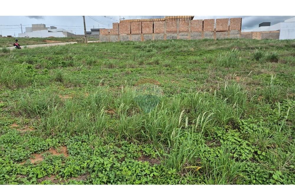 Terreno - Venda - Araxá , Minas Gerais - RODRIGO 11.jpeg - Quintal - 870431054-9