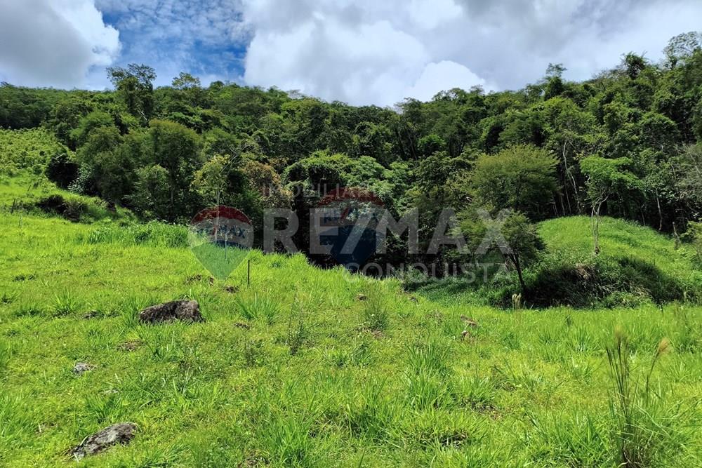 Chácara / Sítio / Fazenda - Venda - Taparuba , Minas Gerais - 1_image_1_watermark_ter._17022026_130643.jpg - 870451001-165