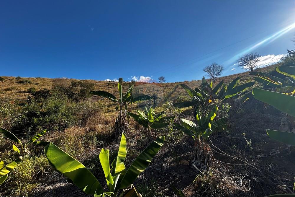 Chácara / Sítio / Fazenda - Venda - Governador Valadares , Minas Gerais - IMG_3012.jpg - 870671001-156