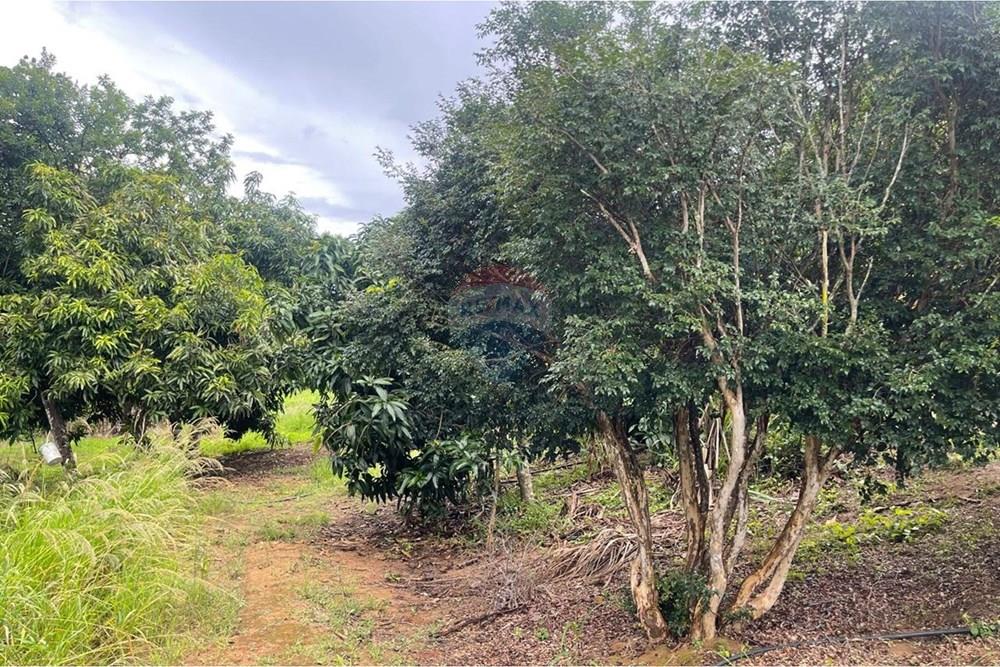 Fazenda - Venda - Araxá , Minas Gerais - 17.jpeg - Jardim Externo - 870431045-58