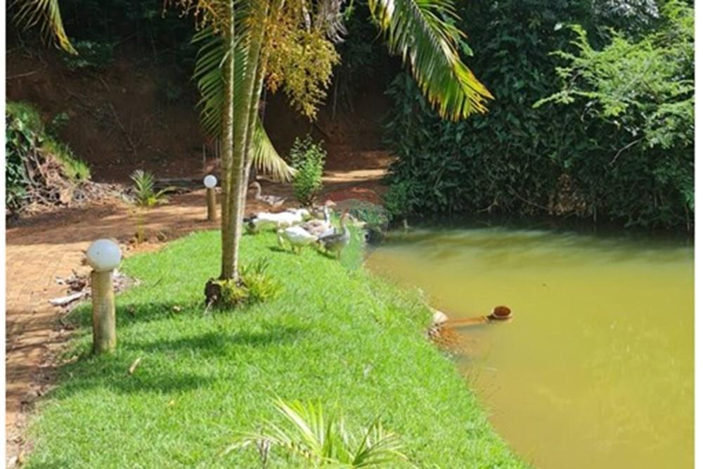 Terreno - Venda - Iapu , Minas Gerais - WhatsApp Image 2025-02-26 at 11.58.37.jpeg - 870711005-18