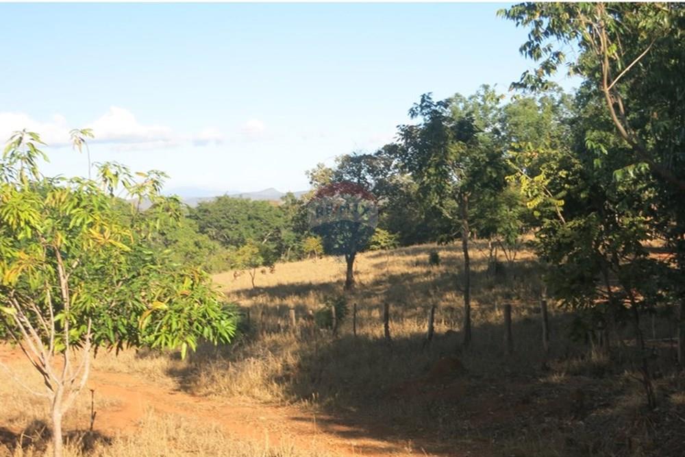 Chácara / Sítio / Fazenda - Venda - Pedro Leopoldo , Minas Gerais - IMG_3977.JPG - 870411101-6
