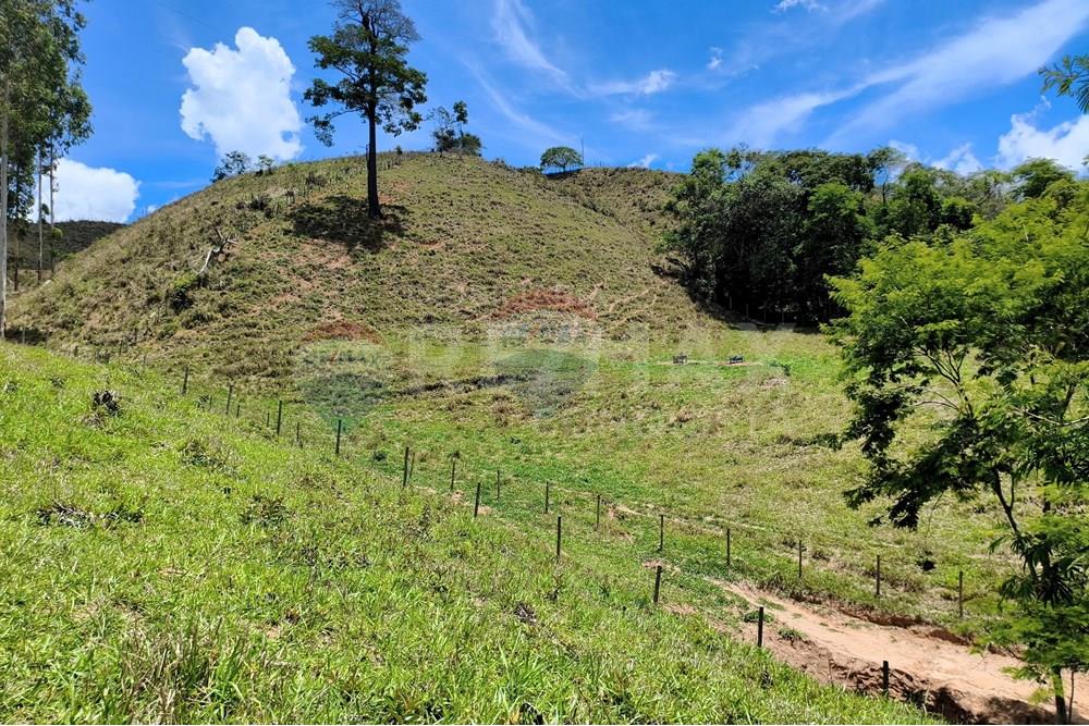 Chácara / Sítio / Fazenda - Venda - Taparuba , Minas Gerais - 2_image_2_watermark_sex._19122025_102039.jpg - 870451001-158