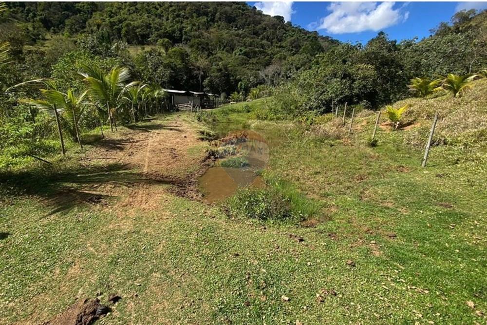 Chácara / Sítio / Fazenda - Venda - Ipatinga , Minas Gerais - WhatsApp Image 2025-10-09 at 17.37.03 (1).jpeg - 870711007-44