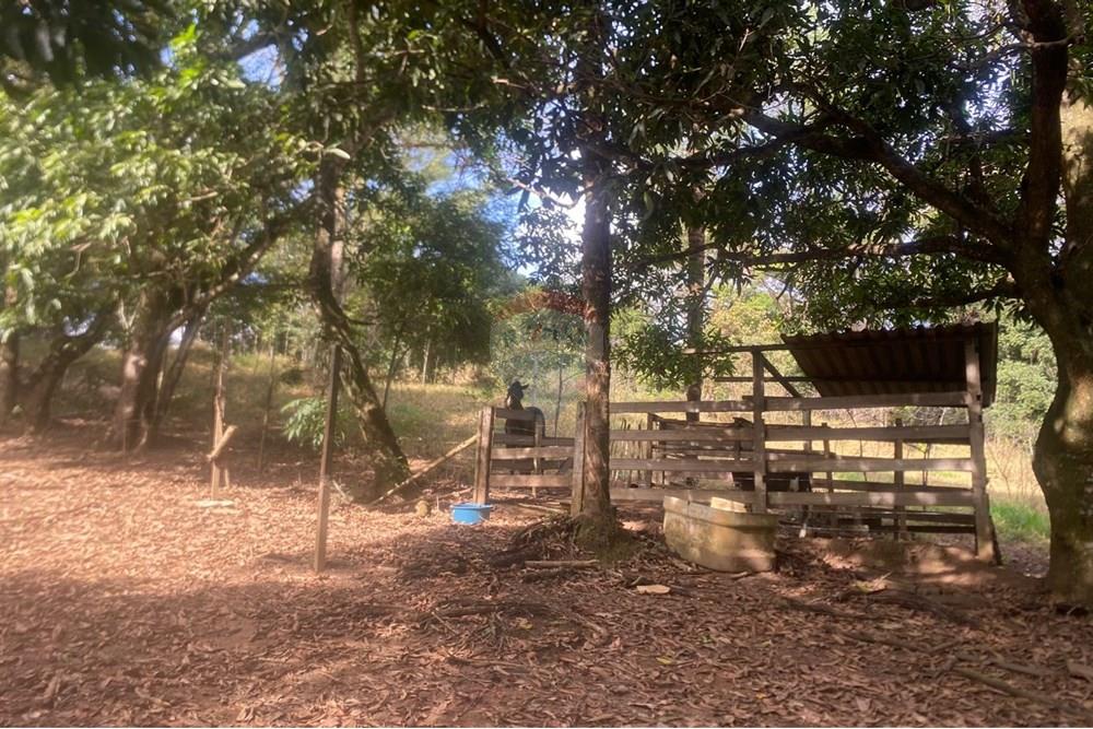 Terreno - Venda - Betim , Minas Gerais - WhatsApp Image 2025-06-12 at 14.20.20.jpeg - 870411113-22