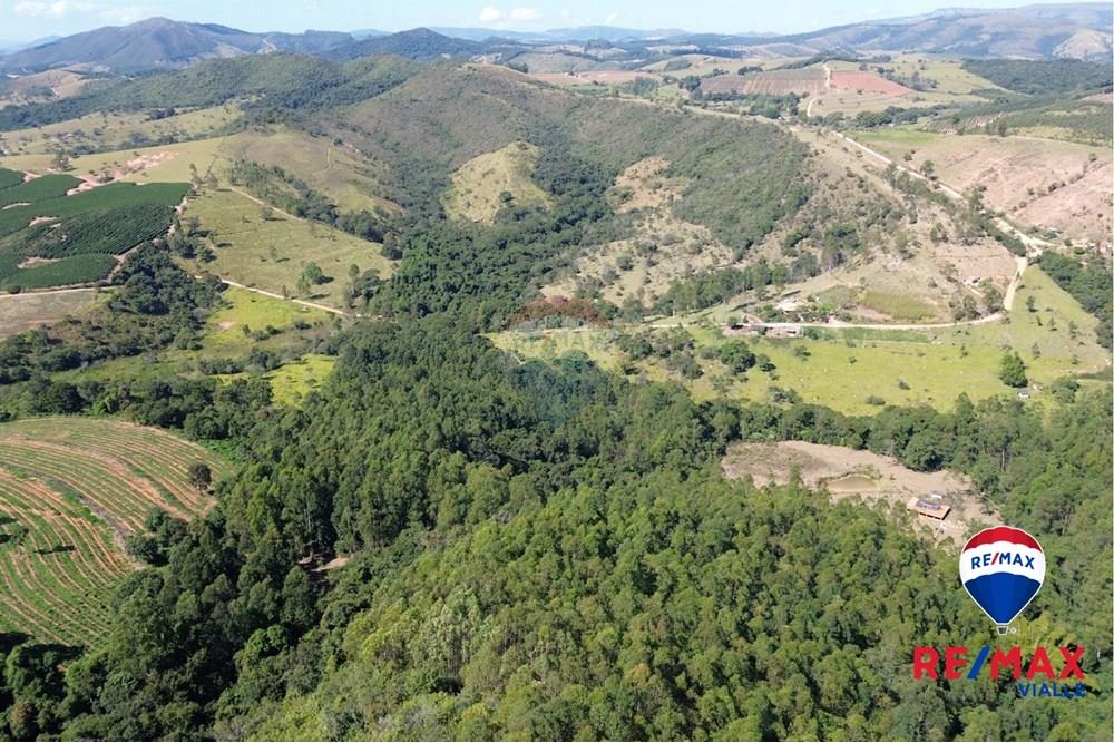 Chácara / Sítio / Fazenda - Venda - São Roque de Minas , Minas Gerais - 42611964-fd17-4803-ba4b-5fe11a24424e.jpg - 870731003-7