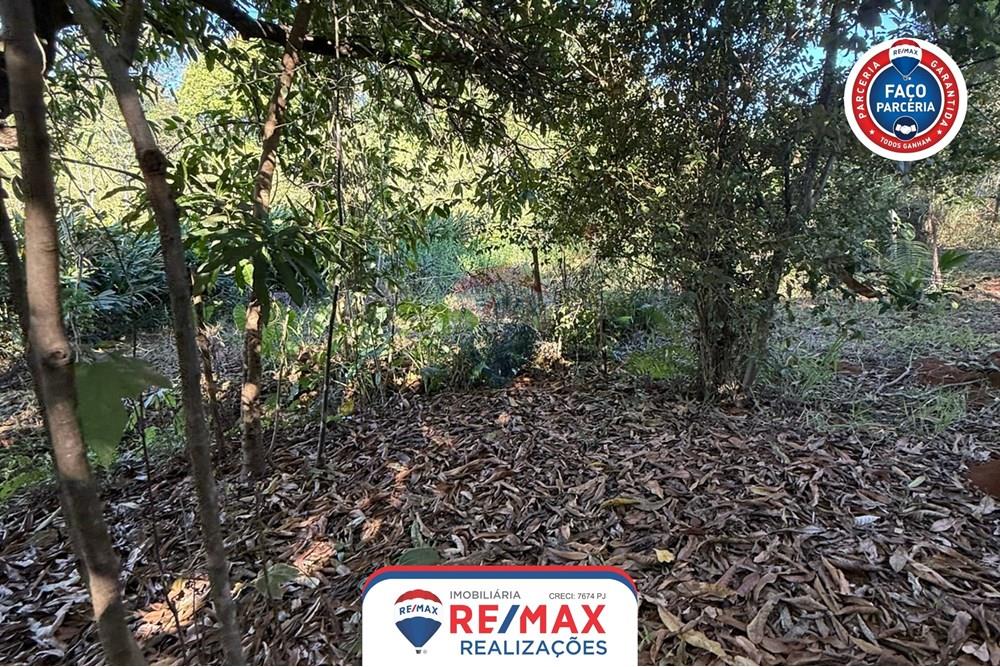 Chácara / Sítio / Fazenda - Venda - Patos de Minas , Minas Gerais - 13.jpg - 870631011-48