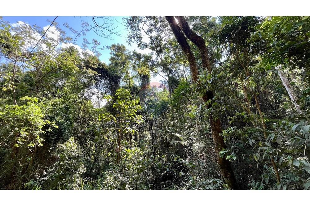 Terreno - Venda - Nova Lima , Minas Gerais - WhatsApp Image 2025-11-04 at 10.48.11 (6).jpeg - 870351032-24