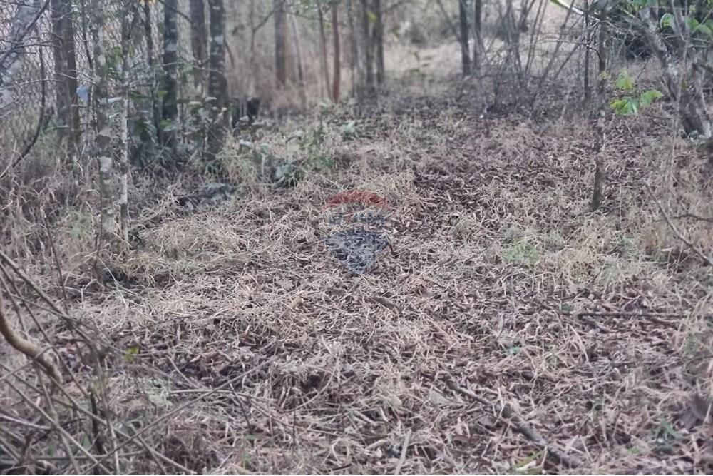 Terreno - Venda - Nova Lima , Minas Gerais - Foto 1.jpg - 870421084-16