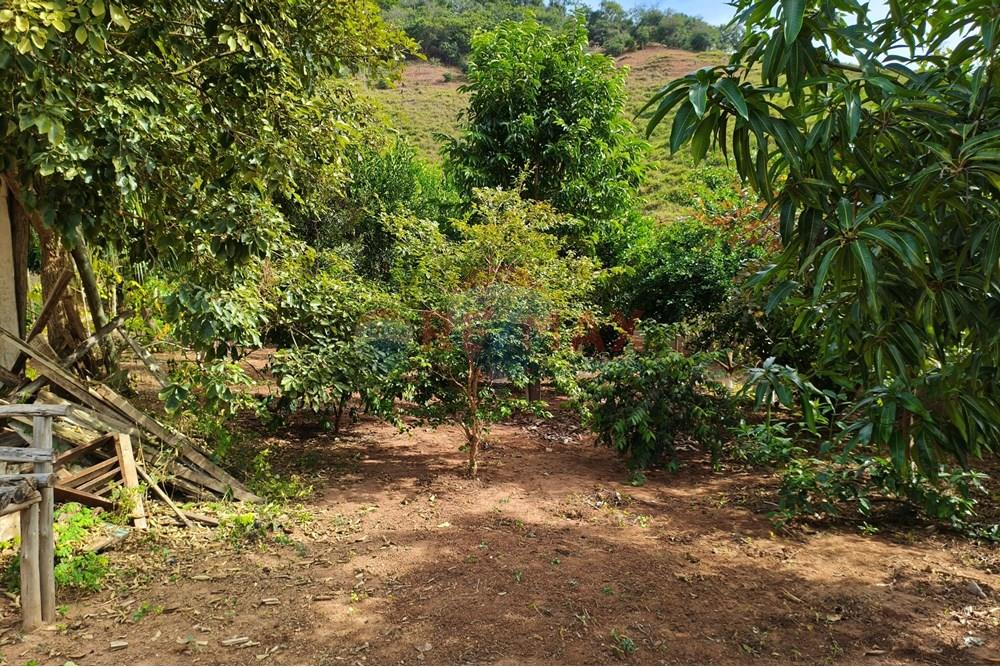 Chácara / Sítio / Fazenda - Venda - Ipanema , Minas Gerais - 4_image_4_watermark_sáb._21062025_165009.jpg - 870451013-66