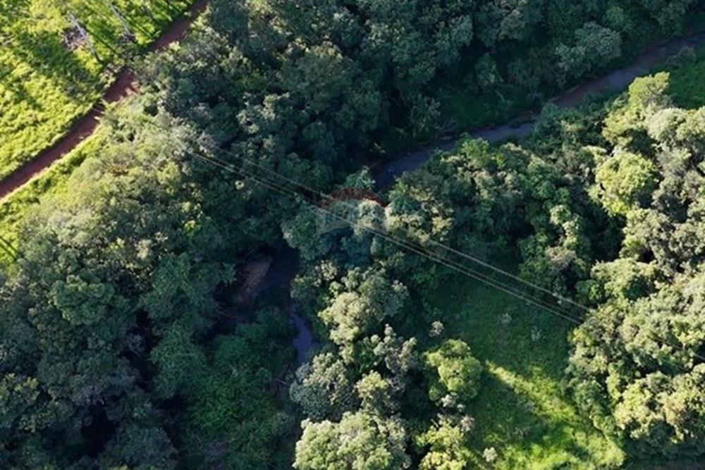 Fazenda - Venda - Araxá , Minas Gerais - WhatsApp Image 2026-02-06 at 10.49.43.jpeg - 870431012-60