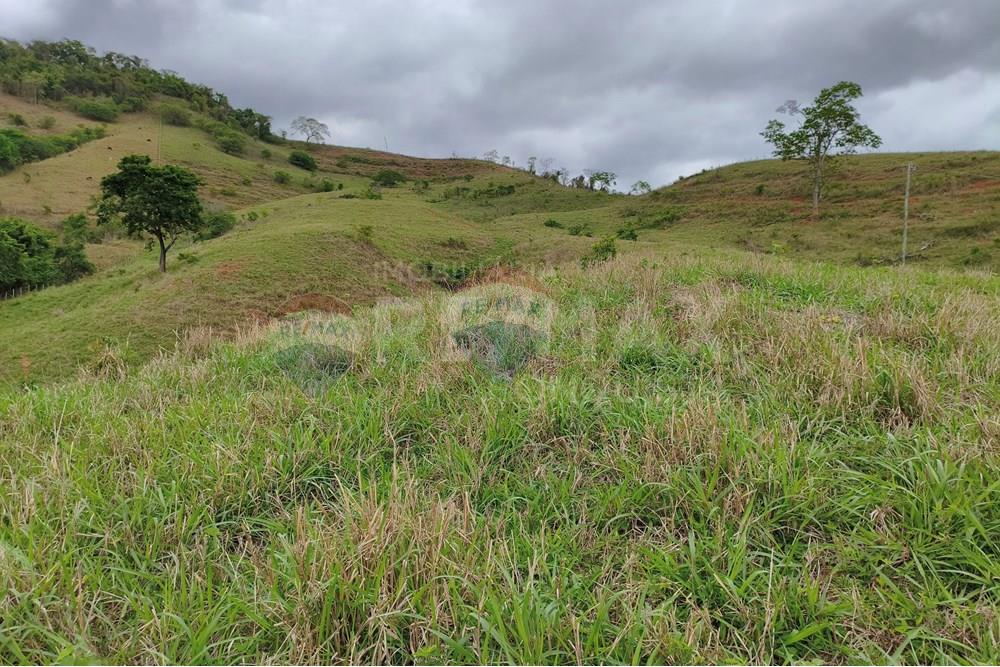 Chácara / Sítio / Fazenda - Venda - Ipanema , Minas Gerais - 0_image_0_watermark_qui._20112025_124900.jpg - 870451013-80