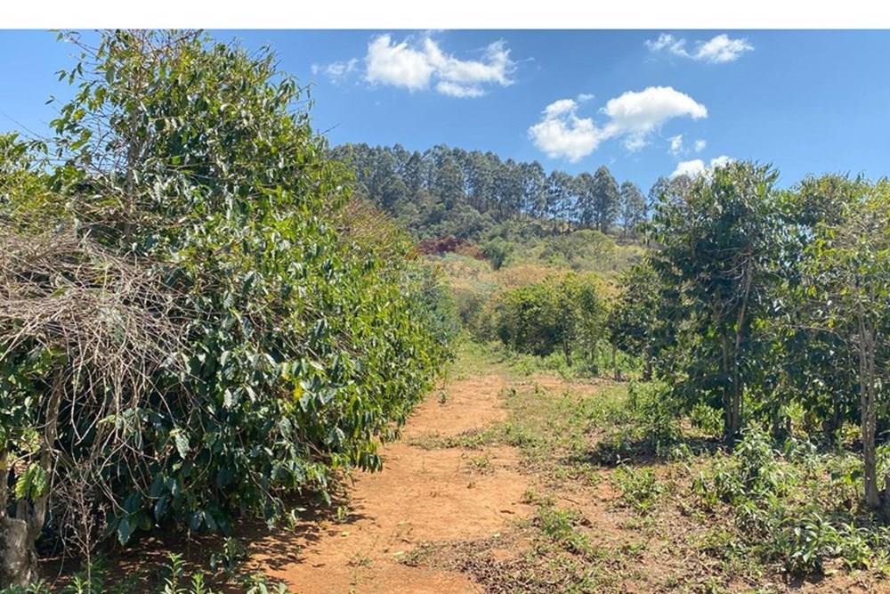 Chácara / Sítio / Fazenda - Venda - Casa Grande , Minas Gerais - WhatsApp Image 2025-11-10 at 11.27.36 (3).jpeg - 870411117-20