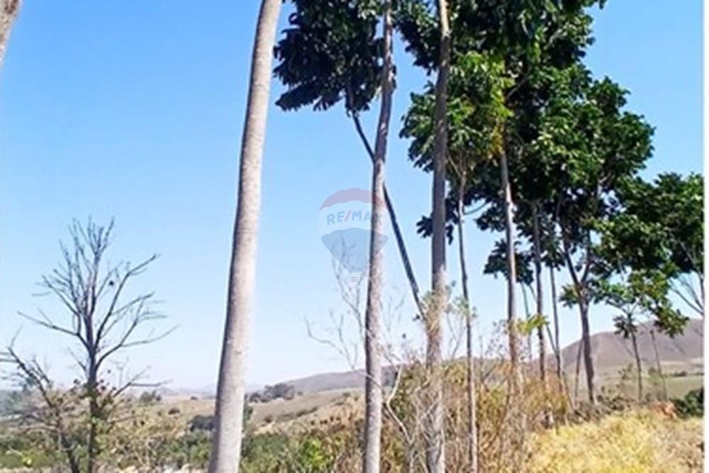 Chácara / Sítio / Fazenda - Venda - Piumhi , Minas Gerais - 20250816_121256.jpg - 870411101-9