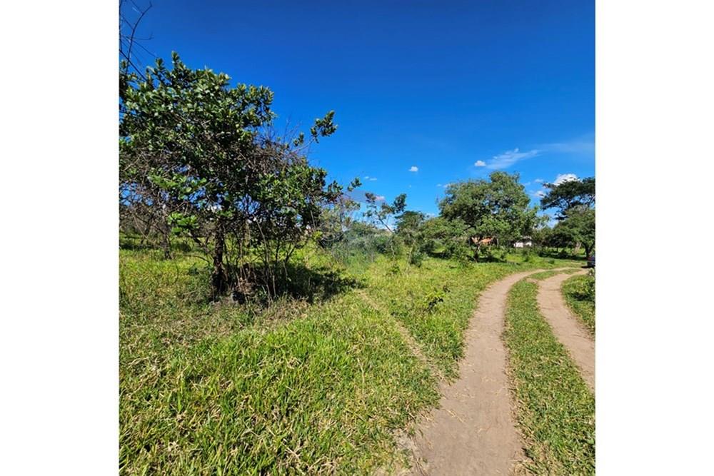 Terreno - Venda - Contagem , Minas Gerais - 20260112_152305.jpg - 870241034-67