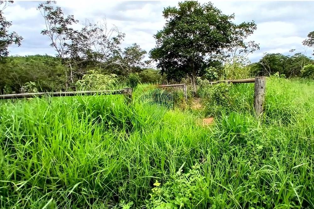 Fazenda - Venda - Inimutaba , Minas Gerais - 20260127_163040.jpg - 870411101-21