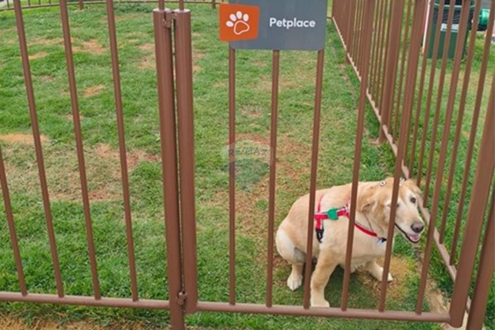 Apartamento - Venda - Belo Horizonte , Minas Gerais - Foto de Corretora Deise Schumaltz (7).jpg - 870411150-3