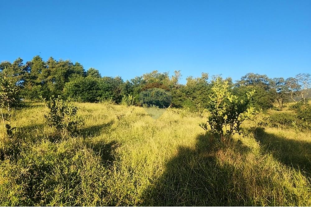 Chácara / Sítio / Fazenda - Venda - Ibirité , Minas Gerais - 2750d186-5ebc-4e09-9b77-988356d4651e.jpeg - 870241024-77