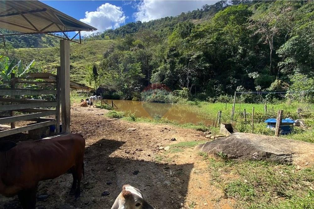 Chácara / Sítio / Fazenda - Venda - Ipatinga , Minas Gerais - WhatsApp Image 2025-10-09 at 17.37.01 (1).jpeg - 870711007-44